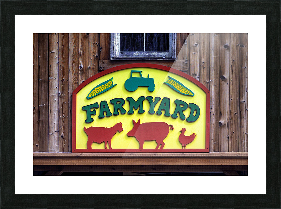  Fine Art print