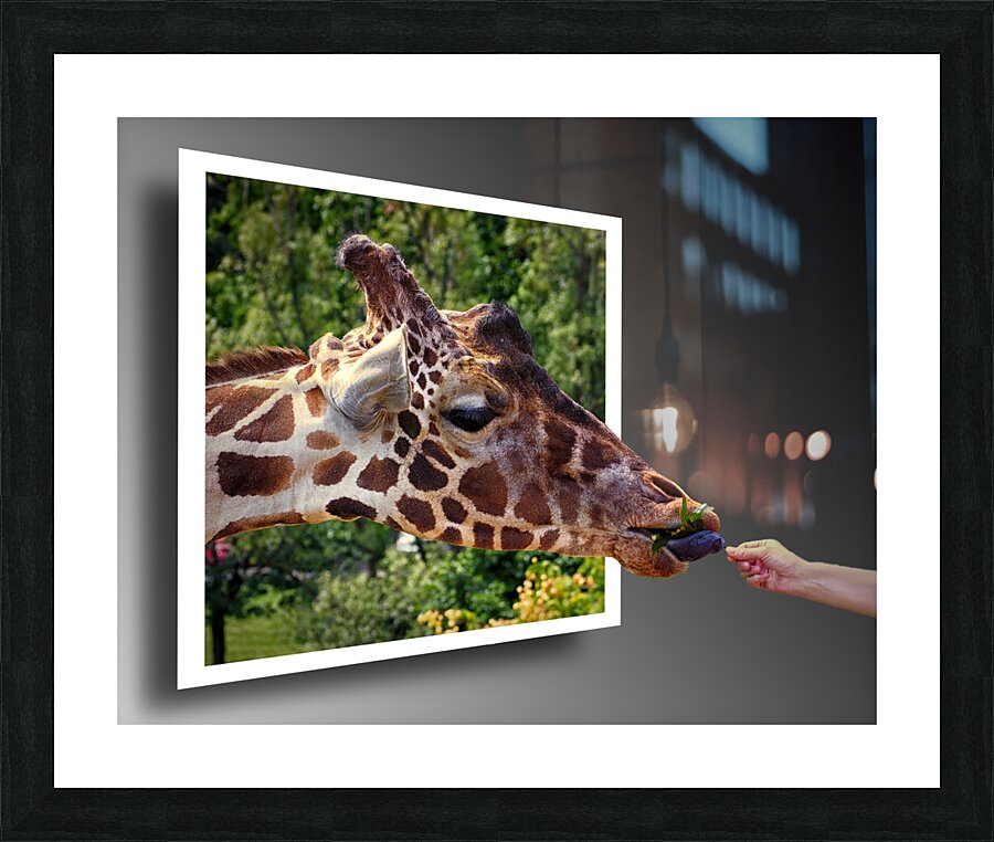  Fine Art print