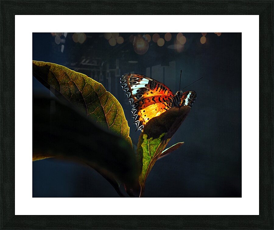  Fine Art print