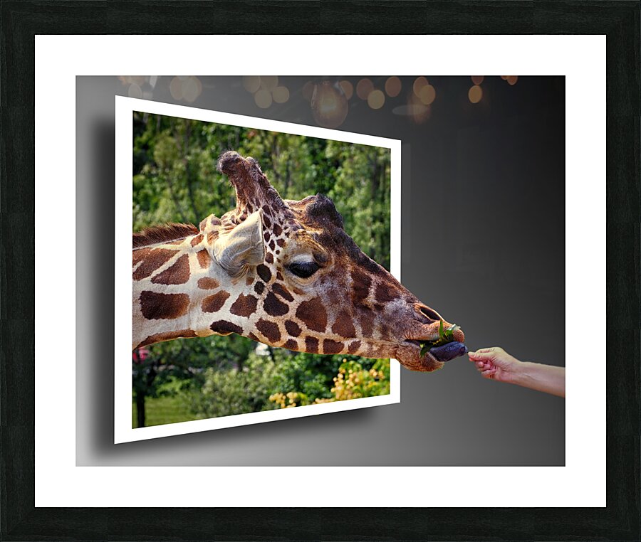  Fine Art print