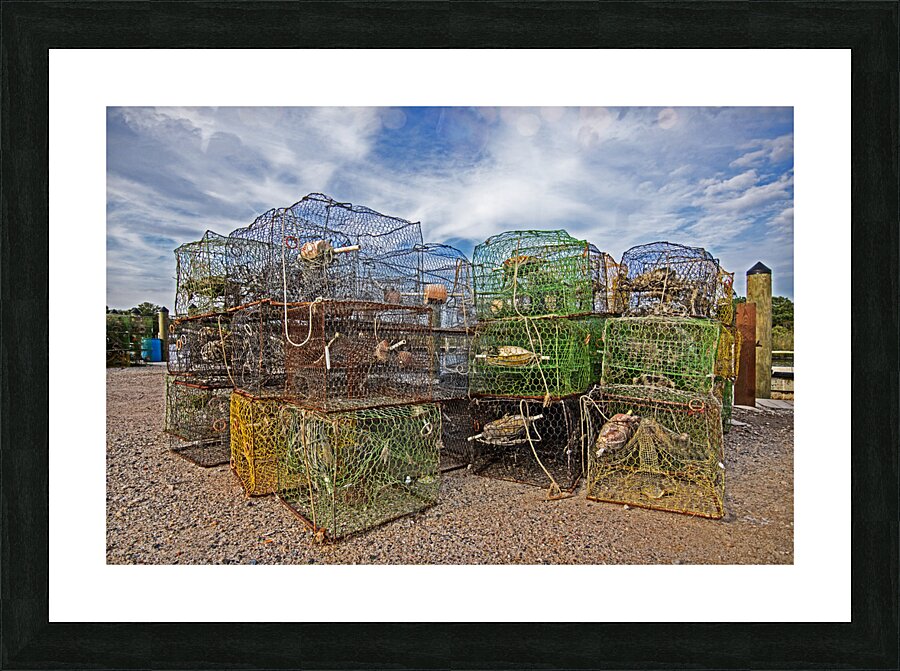 Fine Art print