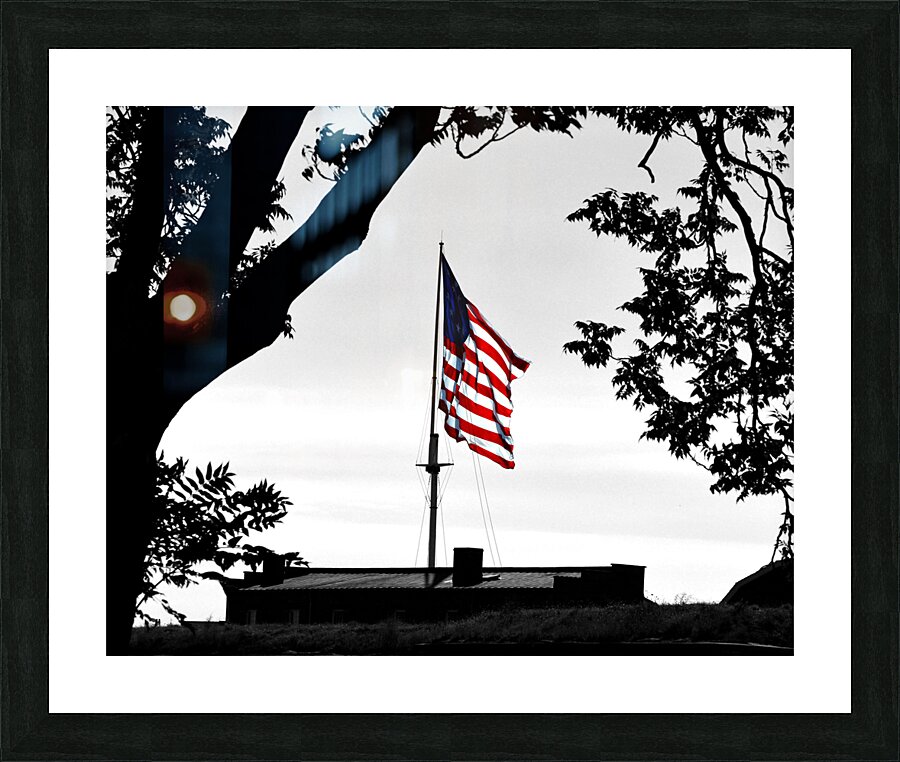  Fine Art print