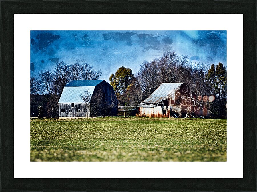  Fine Art print