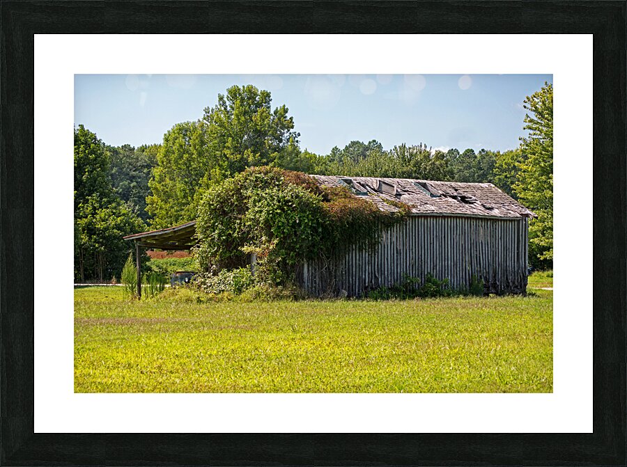 Fine Art print