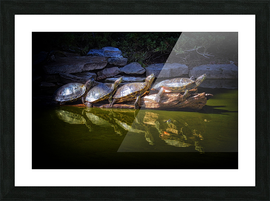  Fine Art print