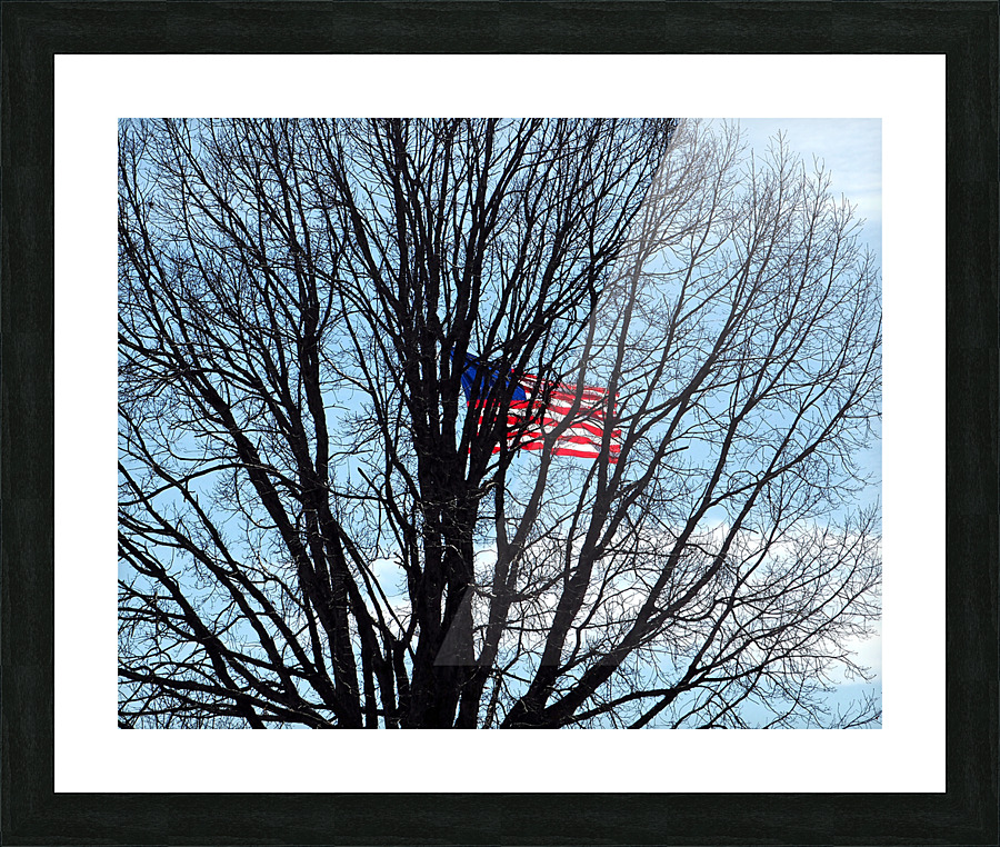  Fine Art print