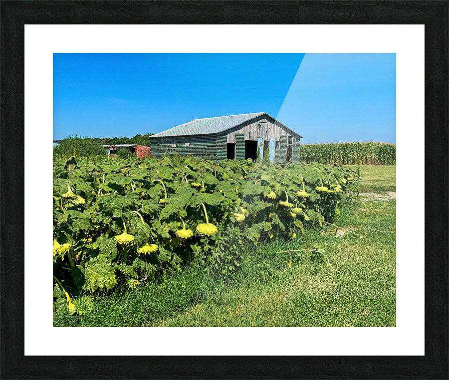  Fine Art print