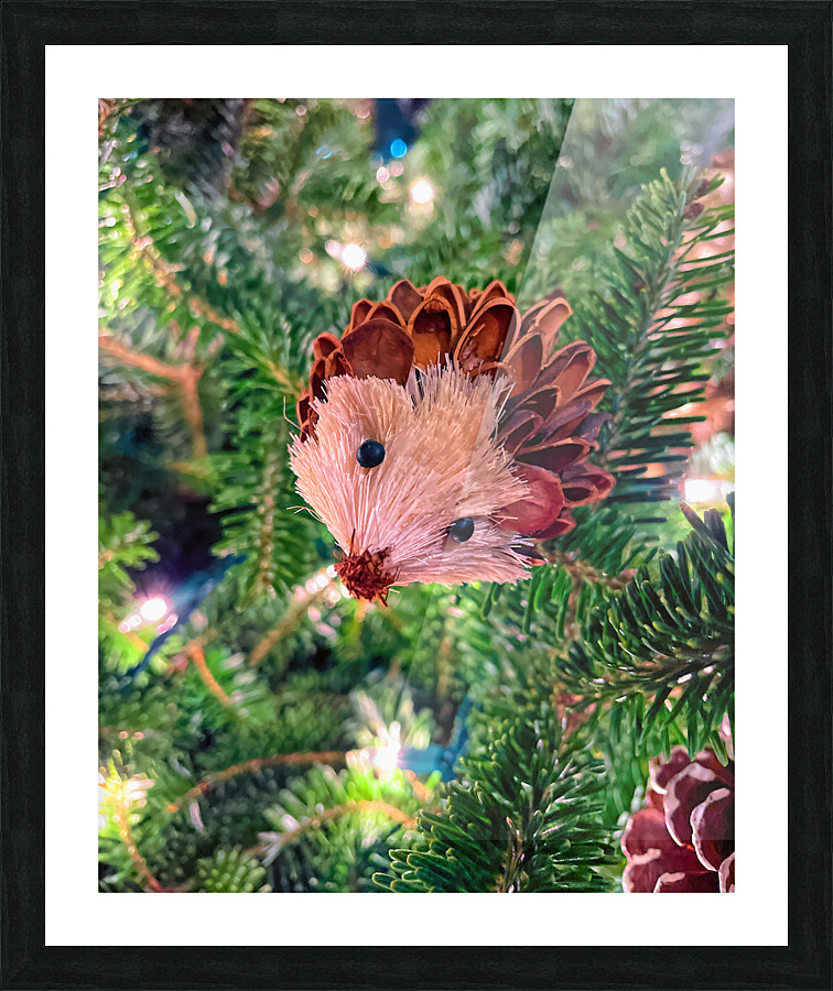  Fine Art print