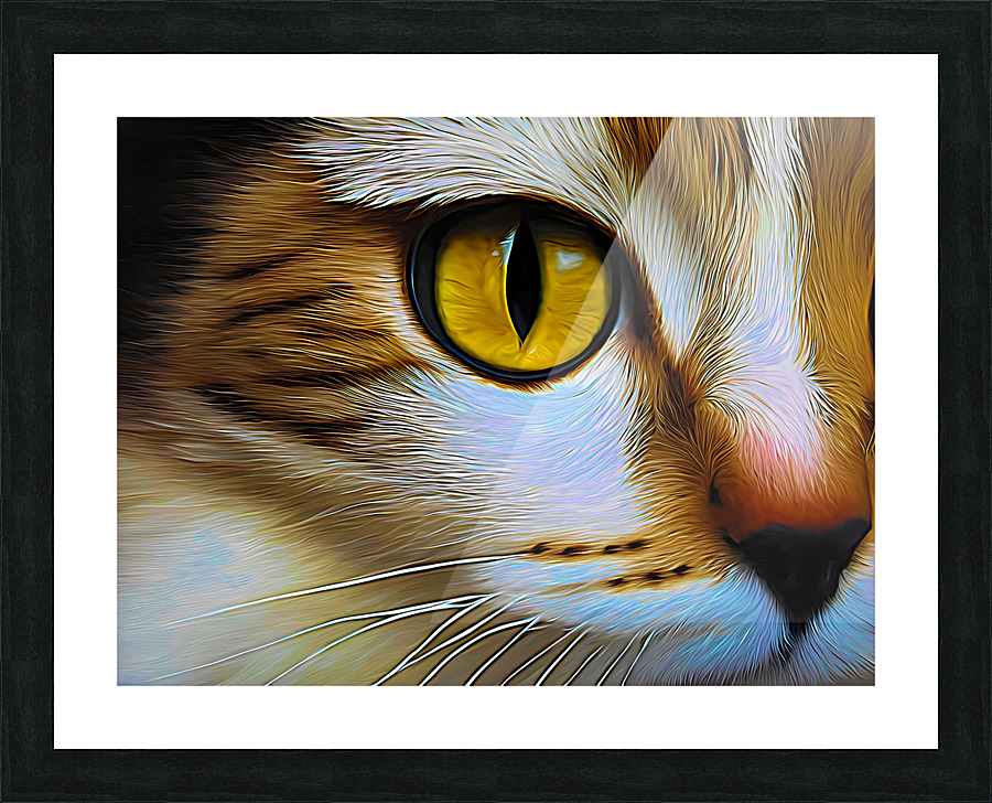 Cats Eye Expressionism Picture Frame print