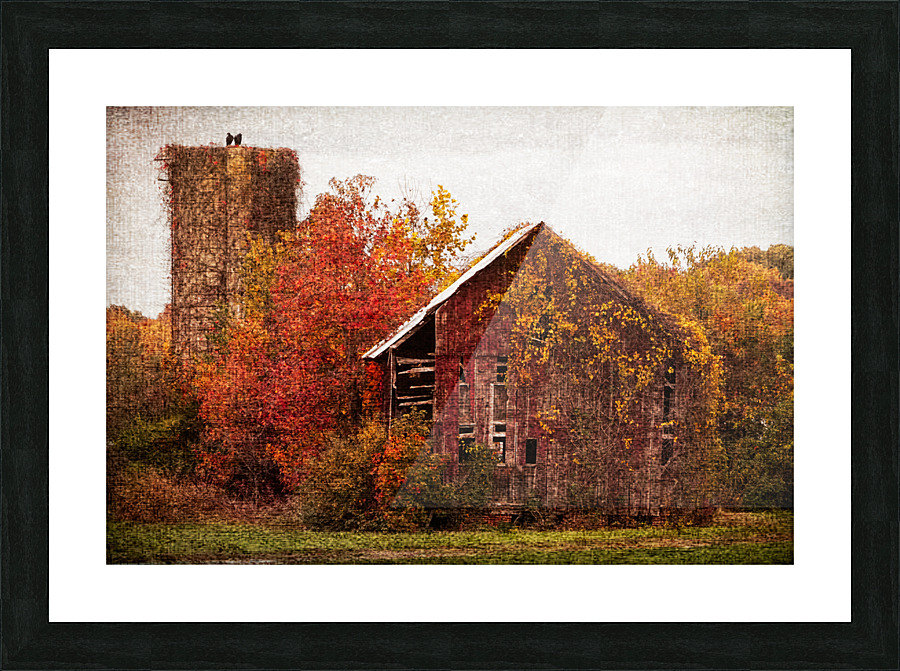 Fine Art print
