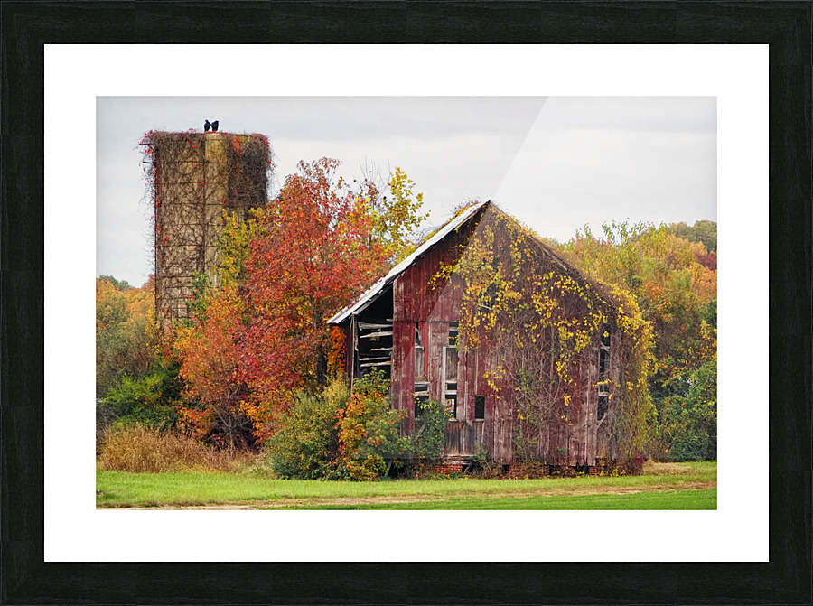 Decaying Red Barn Picture Frame print