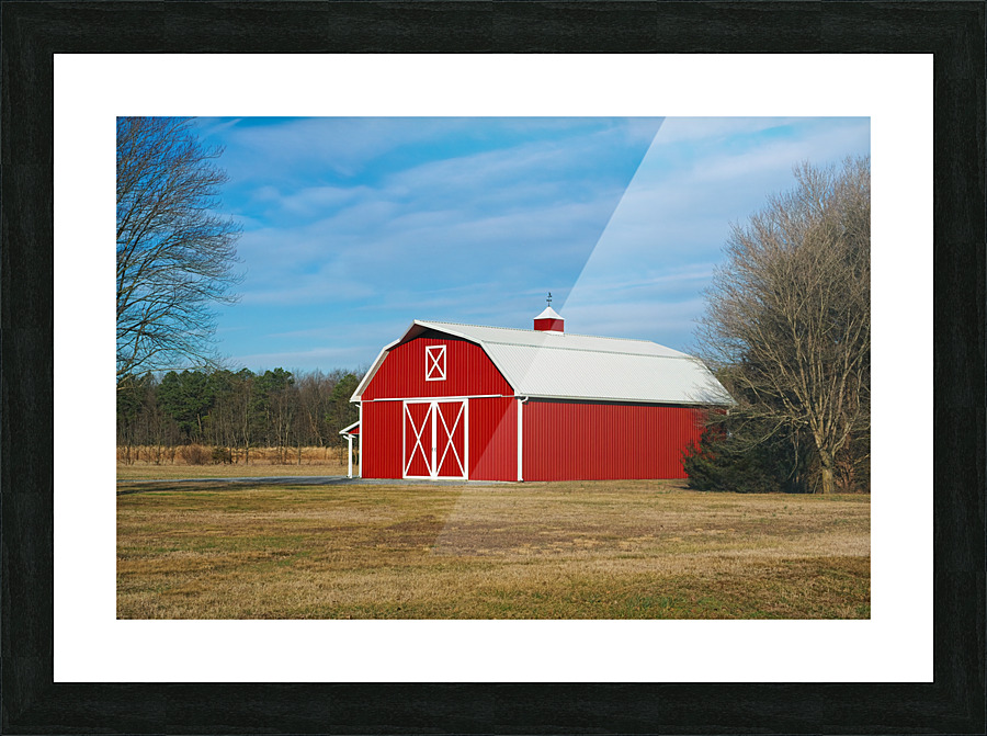  Fine Art print