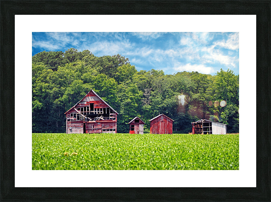  Fine Art print