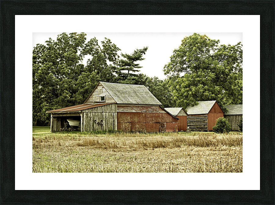  Fine Art print
