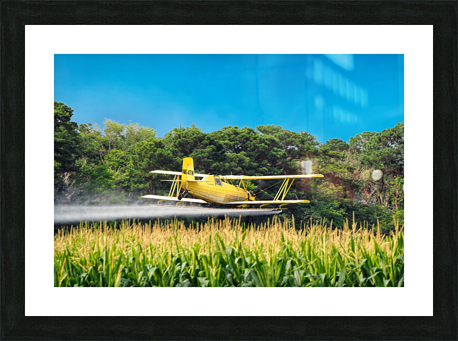 Crop Dusting the Corn Picture Frame print