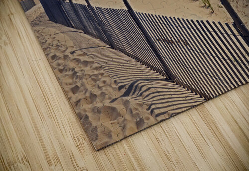 Cape Henlopen Beach Path Bill Swartwout Photography puzzle