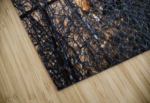 Crab Pot Float Bill Swartwout Photography puzzle