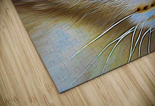 Cats Eye Expressionism Bill Swartwout Photography puzzle