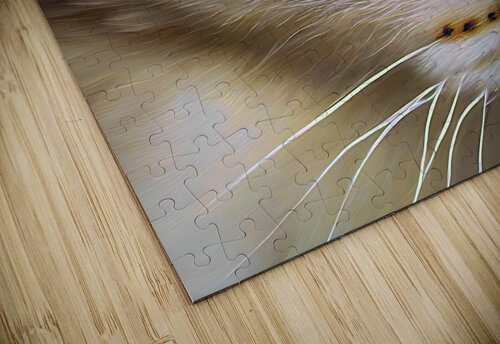 Cats Eye Bill Swartwout Photography puzzle