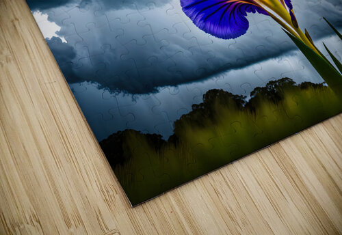 I Am Not Afraid Bill Swartwout Photography puzzle