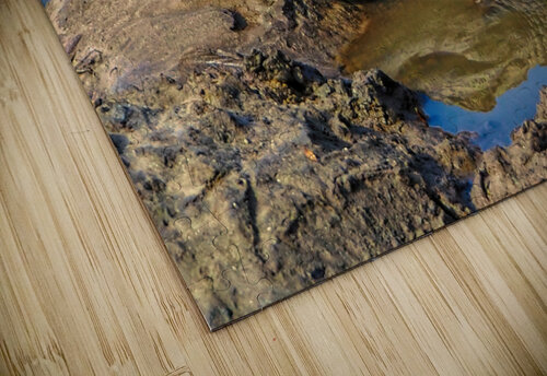 Alligator Mud Bath Bill Swartwout Photography puzzle
