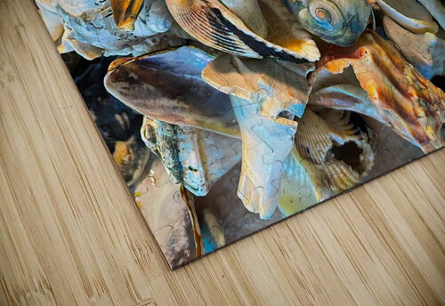 Beachcombing Shells Hodgepodge Bill Swartwout Photography puzzle