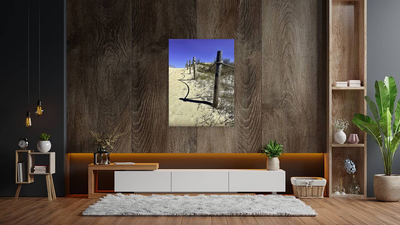 Pathway Across a Dune to the Beach Reproduction