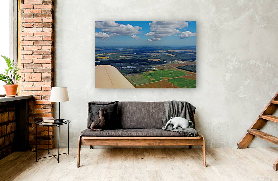 Looking Down over Delmarva Reproduction
