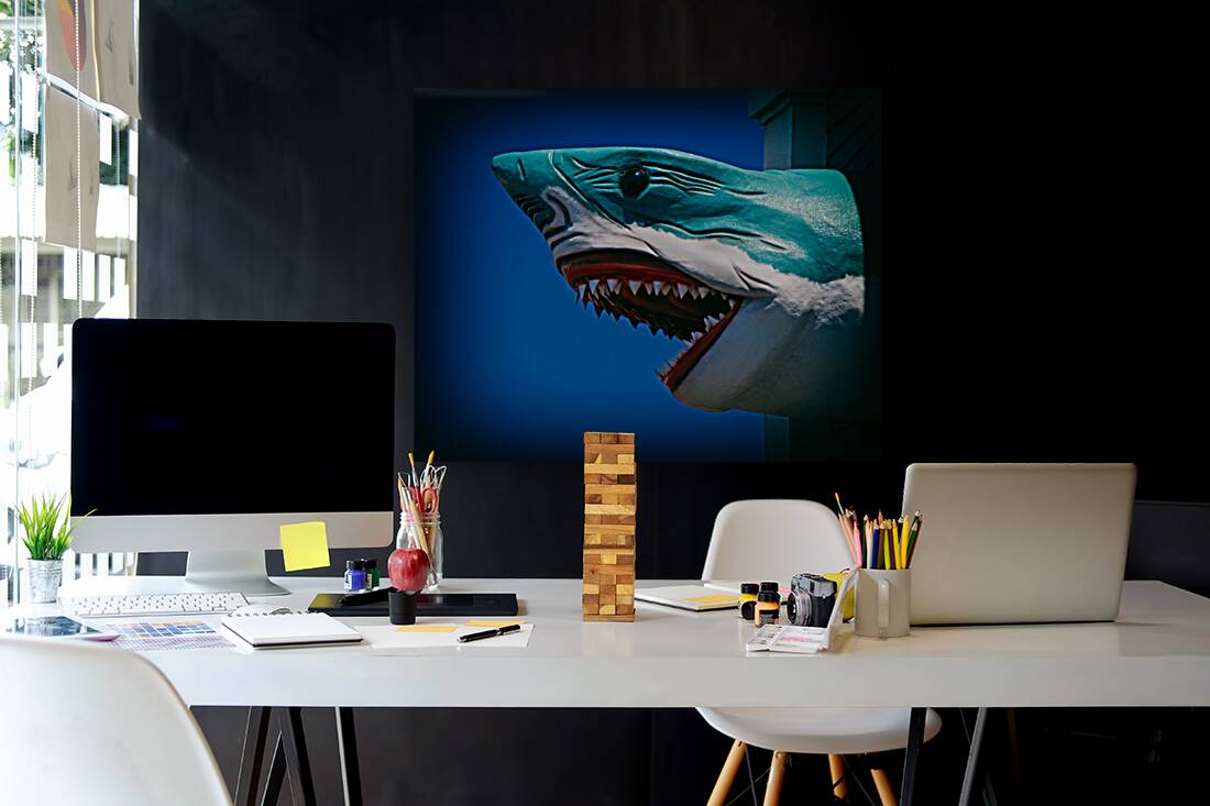 Ocean City Shark Attack Reproduction