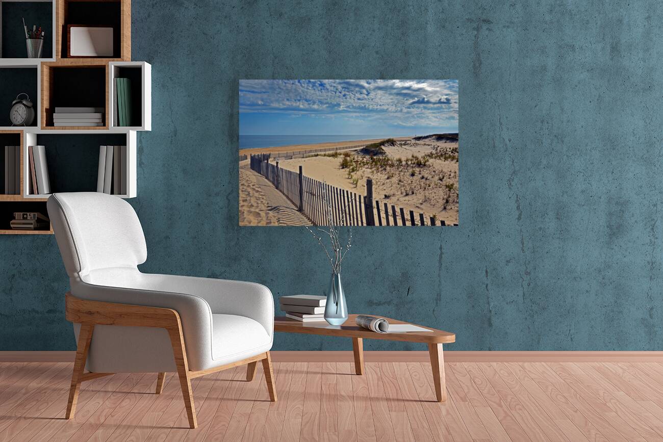 Cape Henlopen Beach Path Reproduction