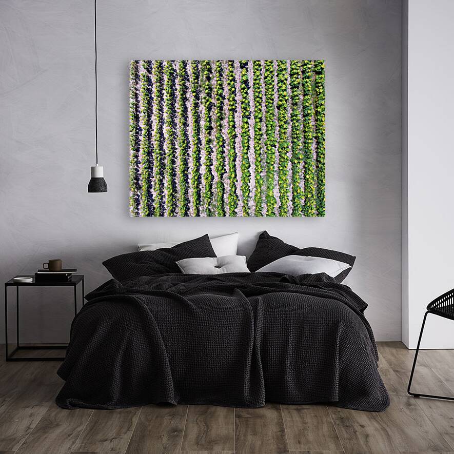 Sunflower Vertical Rows Reproduction