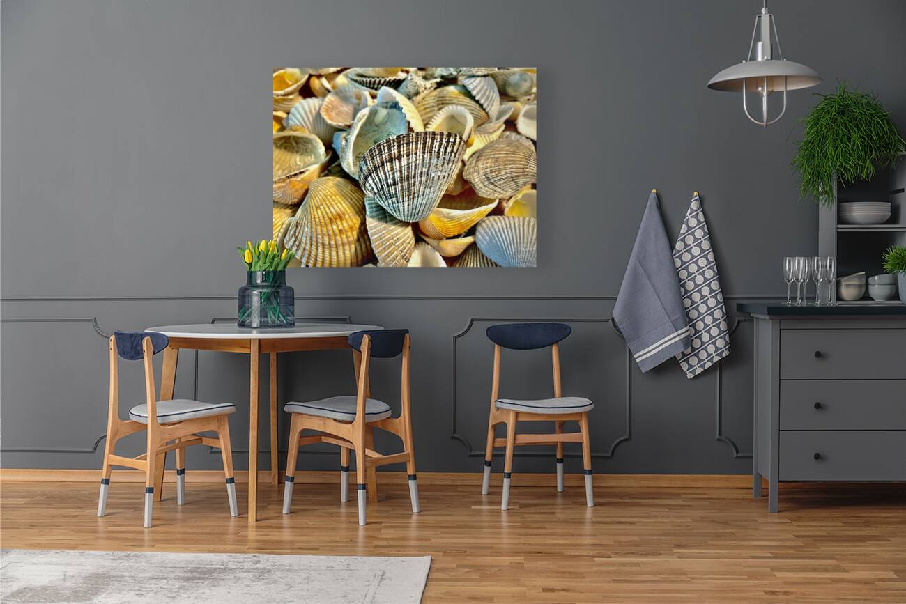 Dark Ark Seashell Reproduction
