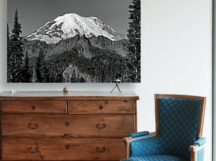 Mount Rainier Two Trees Black and White by Bill Swartwout Photography