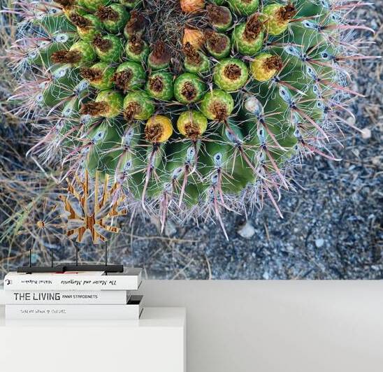 Fruits on a Fishhook Barrel Cactus by Bill Swartwout Photography