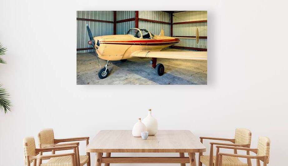 1946 Ercoupe in a Hangar at SBY by Bill Swartwout Photography