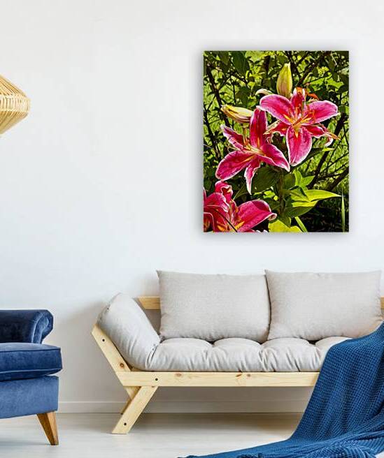 Nancys Day Lily by Bill Swartwout Photography