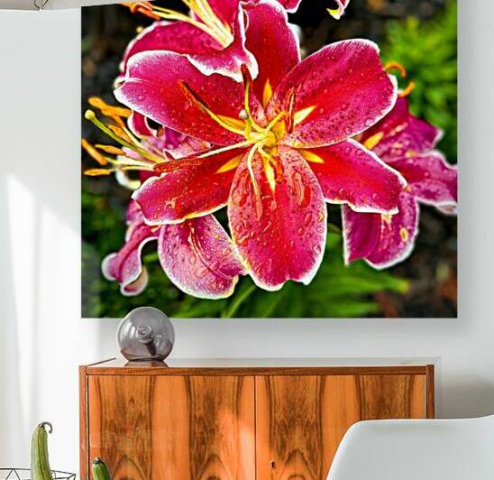 Day Lily with Raindrops by Bill Swartwout Photography