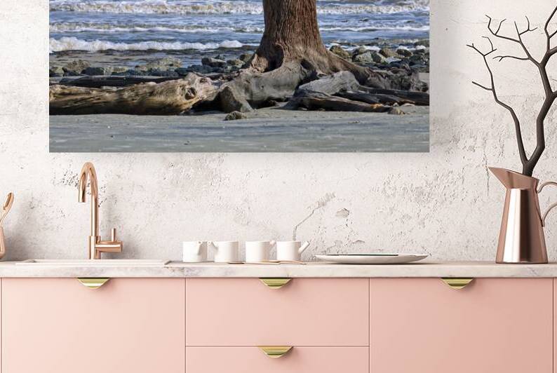 Driftwood Beach Post by Bill Swartwout Photography