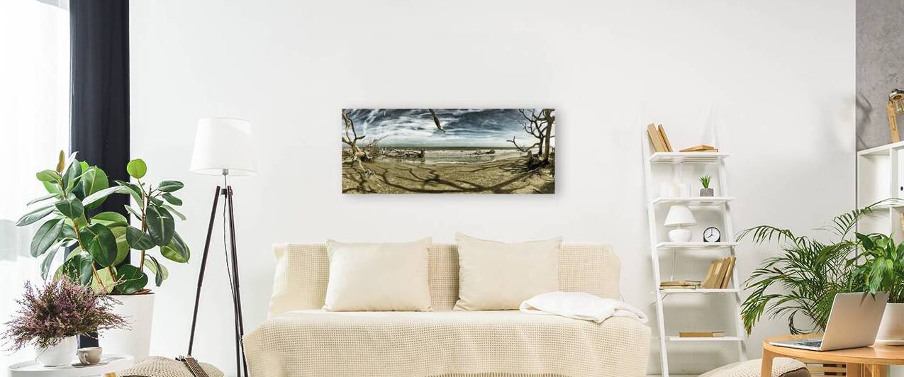 Driftwood Beach Panorama Shadows Blackgold by Bill Swartwout Photography