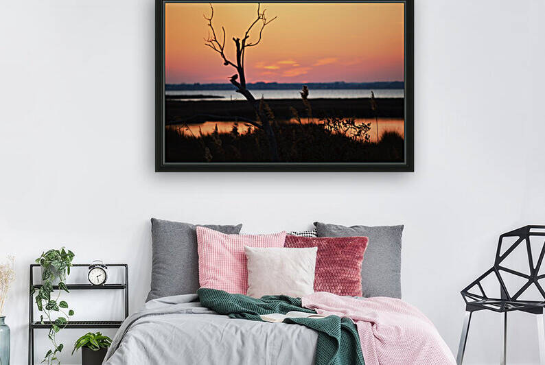 Ocean City Sunset Out on a Limb by Bill Swartwout Photography