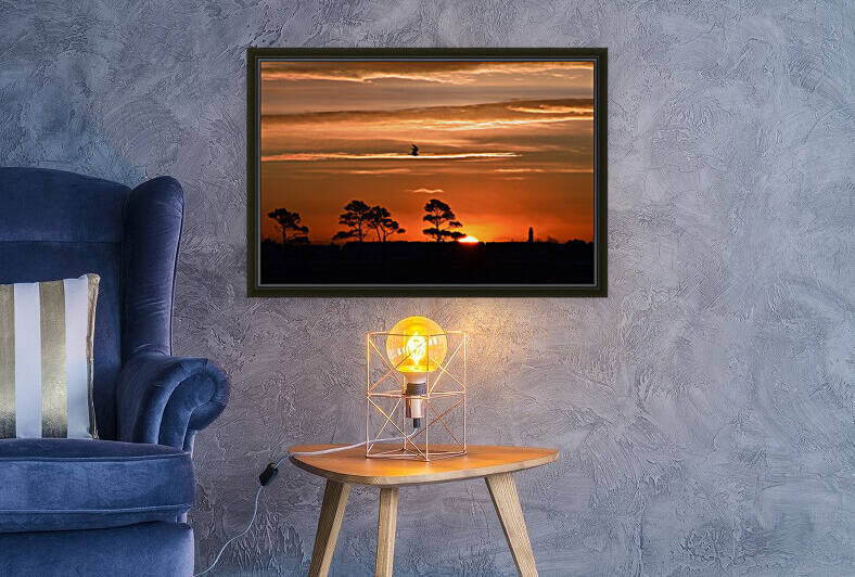 Fenwick Sunrise Trees and Lighhouse by Bill Swartwout Photography