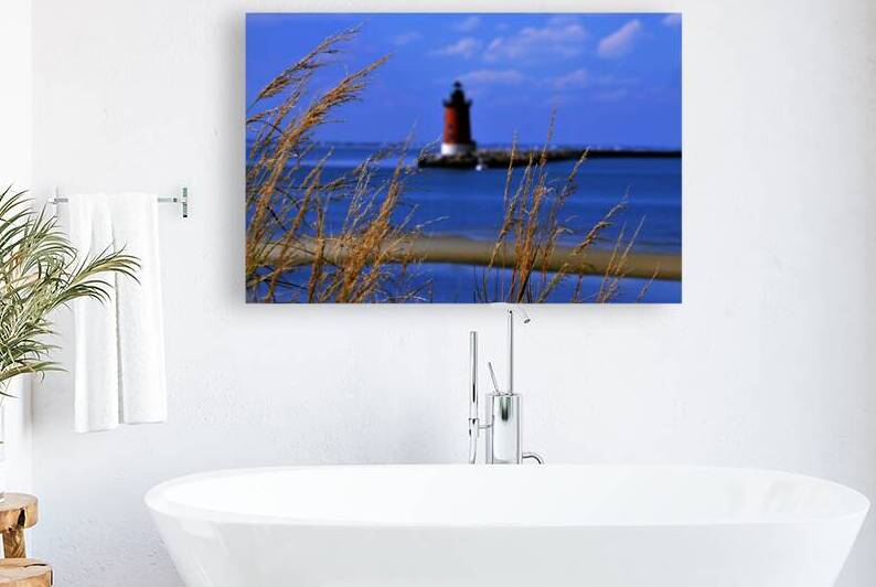 Focus on Grass at Henlopen Light by Bill Swartwout Photography
