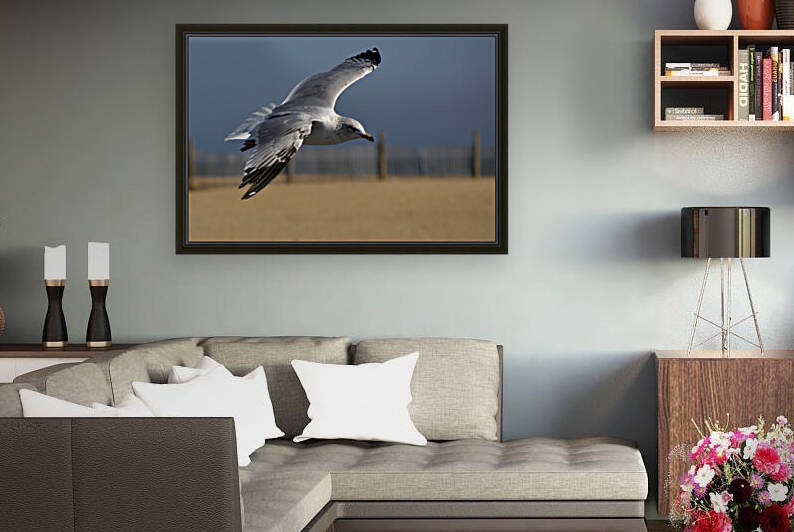 Seagull Cleared for  Landing at the Beach by Bill Swartwout Photography