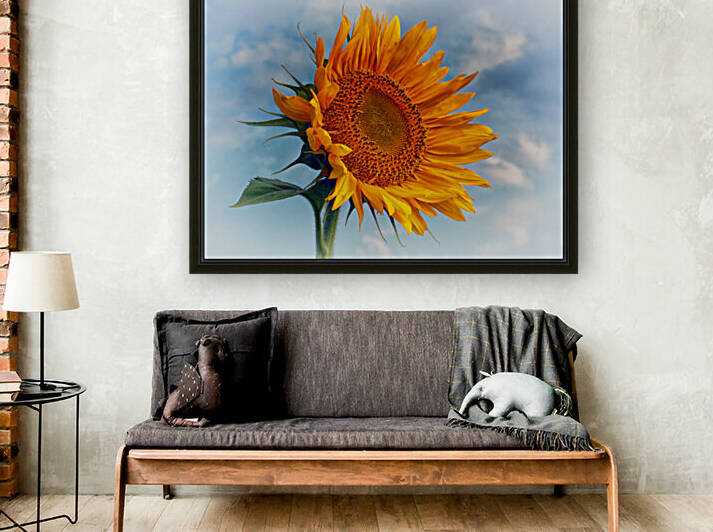 Sunflower Solitaire Greeting the Sun by Bill Swartwout Photography
