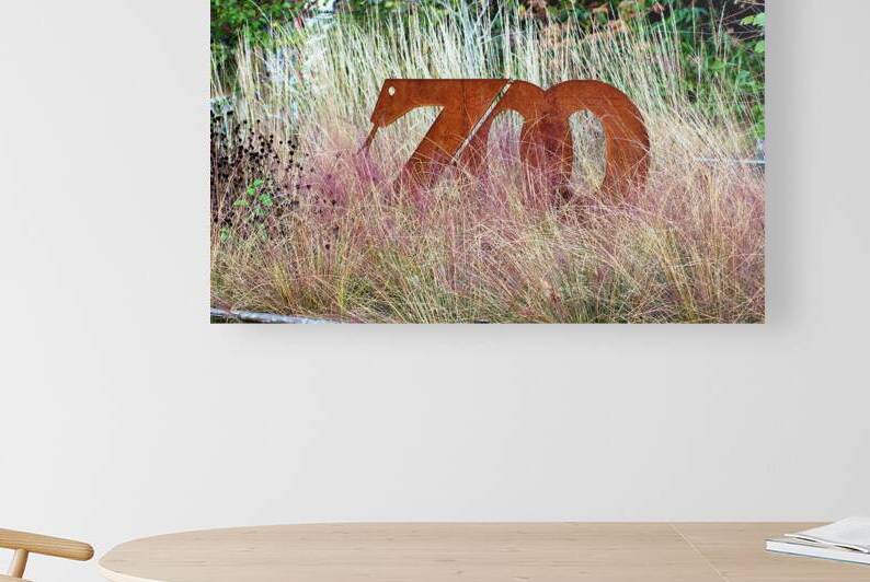 Zoo Sign Salisbury by Bill Swartwout Photography