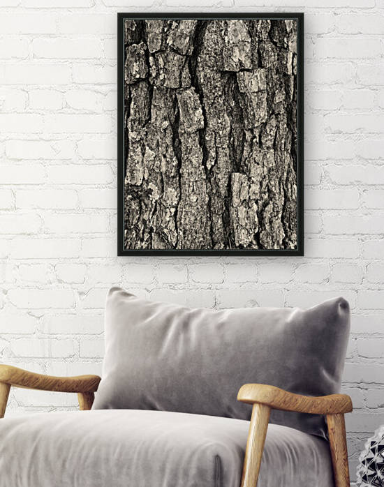 Tree Bark in Black and White by Bill Swartwout Photography