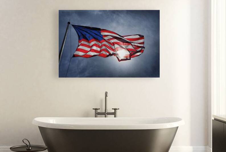 American Flag Fort McHenry Backlit by Bill Swartwout Photography