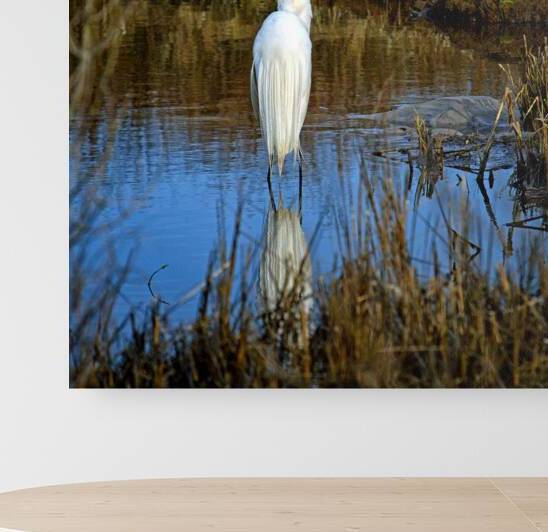 Assateague Island Great Egret Ardea alba by Bill Swartwout Photography