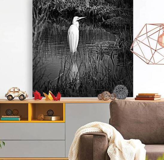 Assateague Island Great Egret Ardea alba in Black and White 0118 by Bill Swartwout Photography