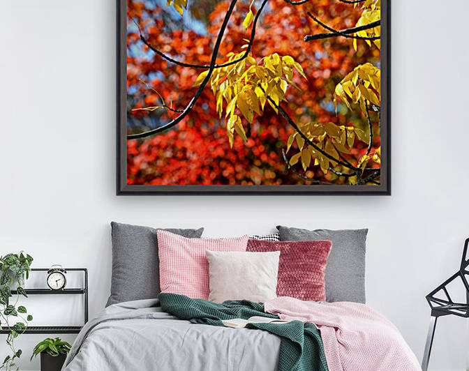 Bar Harbor Maine Fall Foliage 0402 by Bill Swartwout Photography